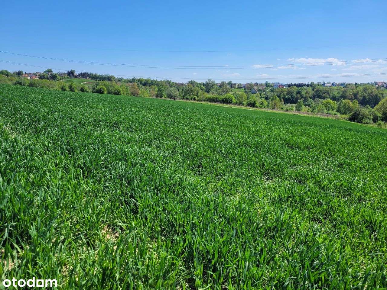 Piękna działka 11,5 ara|Ochojno pod Krakowem|MPZP-1