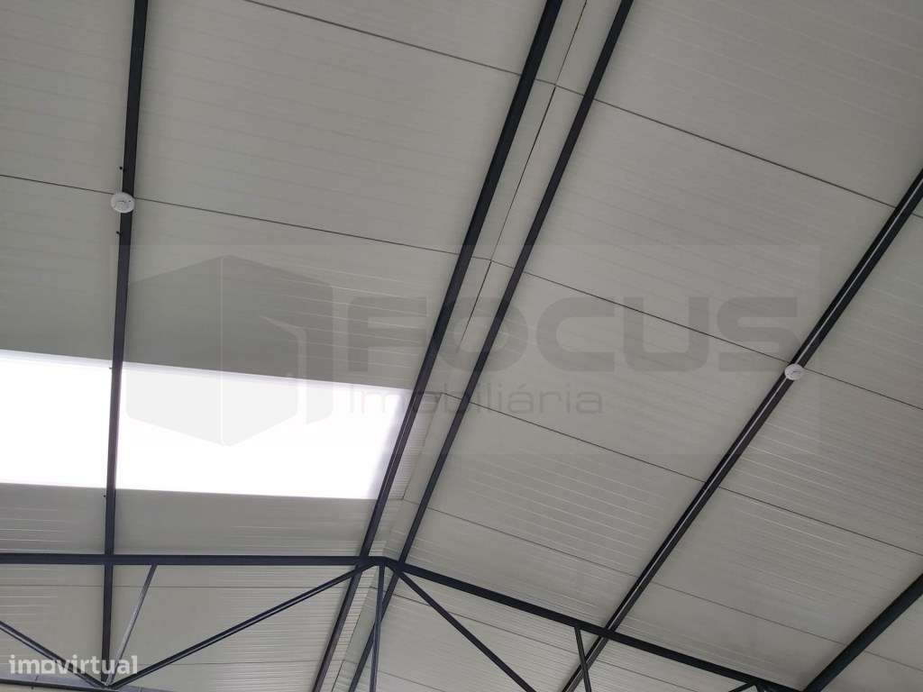 Armazém / pavilhão para arrendamento Águeda - Grande imagem: 4/42
