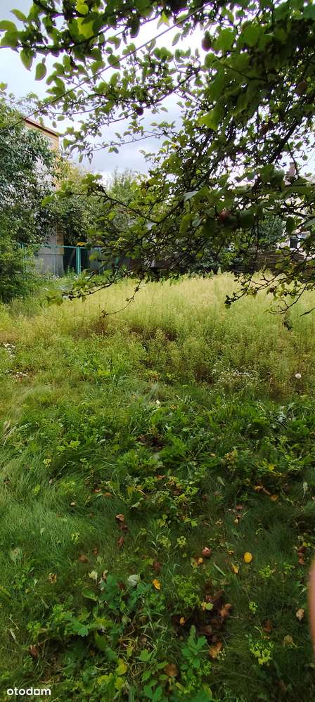 OKAZJA ! Dom wolnostojący, do remontu, media miejskie, działka 516m2 - Pełny obrazek: 3/20