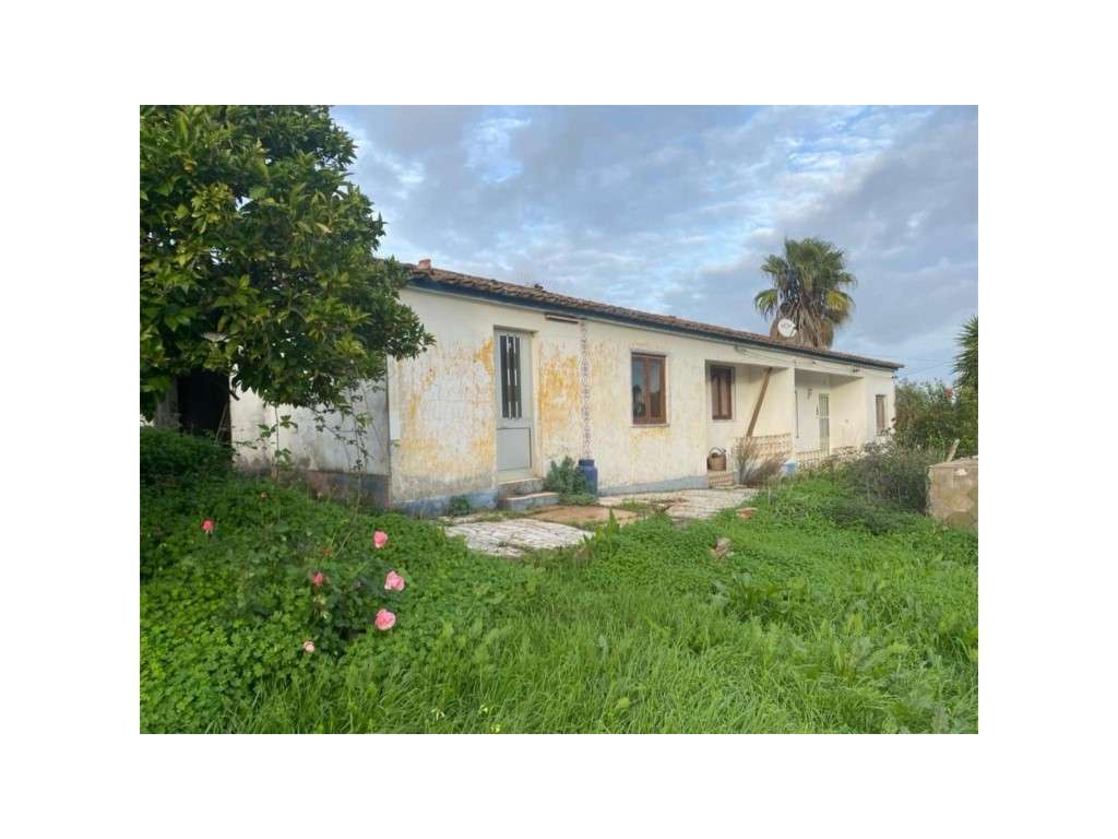 EXCLUSIVO! Quinta com Enorme Potencial no Coração do Alentejo Um Re...-20