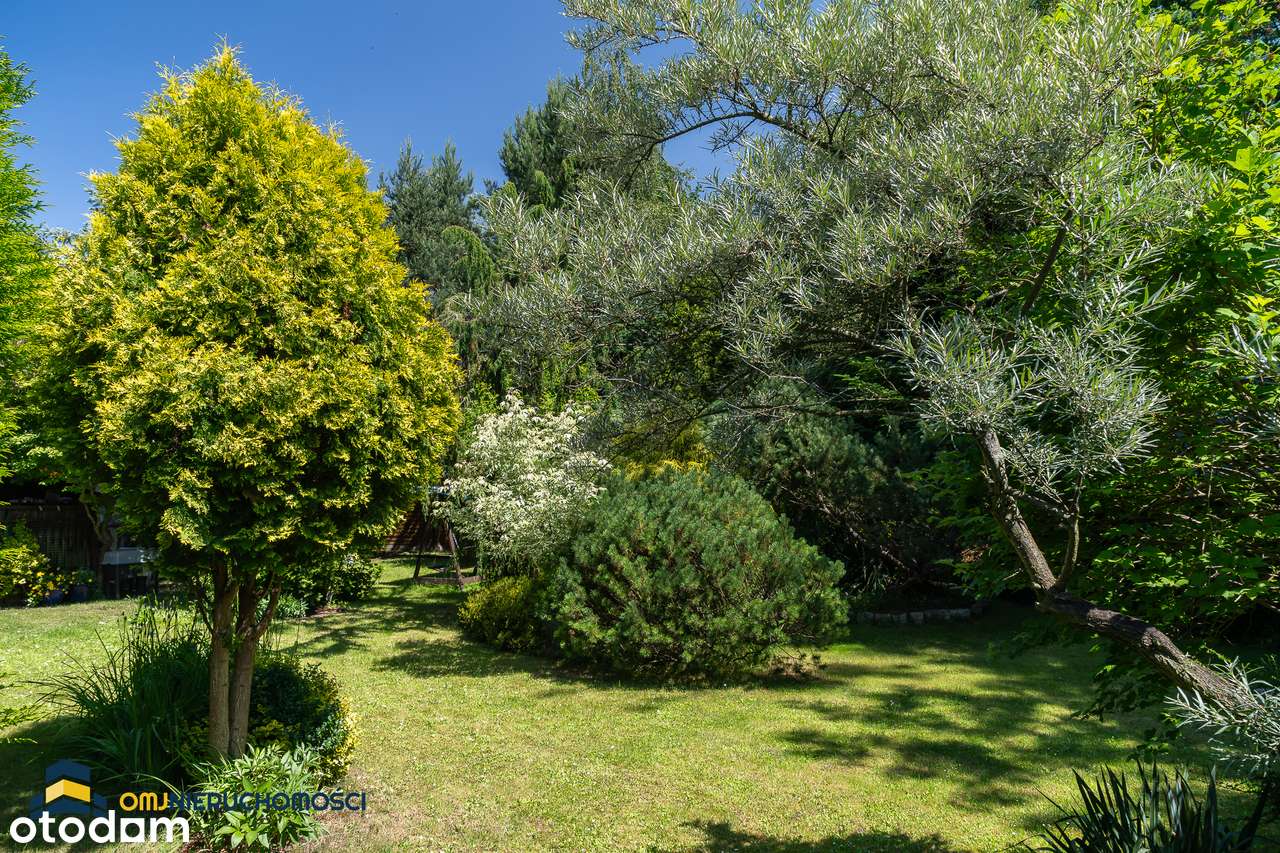 REZERWACJA I Sołtysowice/ ogród/ 4 pokoje/ przy wałach - Pełny obrazek: 2/10