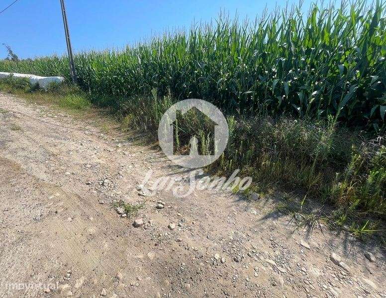 Terreno para moradia com 9.748m2 e 90m de frente em Parada, Vila do... - Grande imagem: 4/5