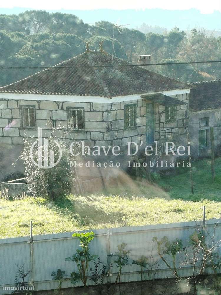 Quintinha T3 Venda em Espinho,Mangualde-6