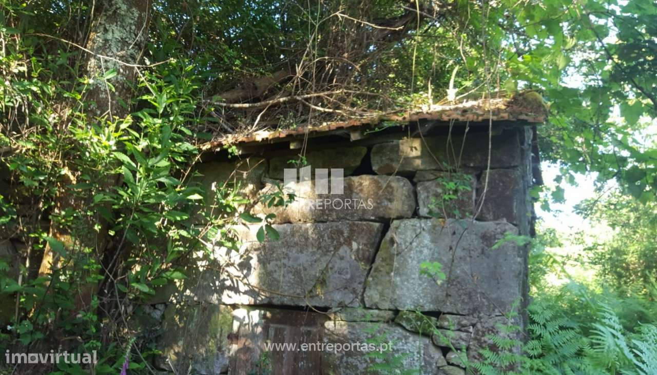 Venda de Terreno c/ 4700 m2, Espadanedo, Cinfães - Grande imagem: 2/35