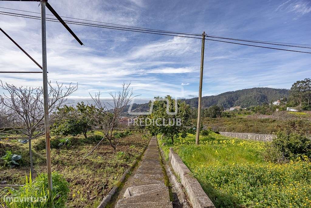 Moradia T2 - Câmara de Lobos - Grande imagem: 5/22