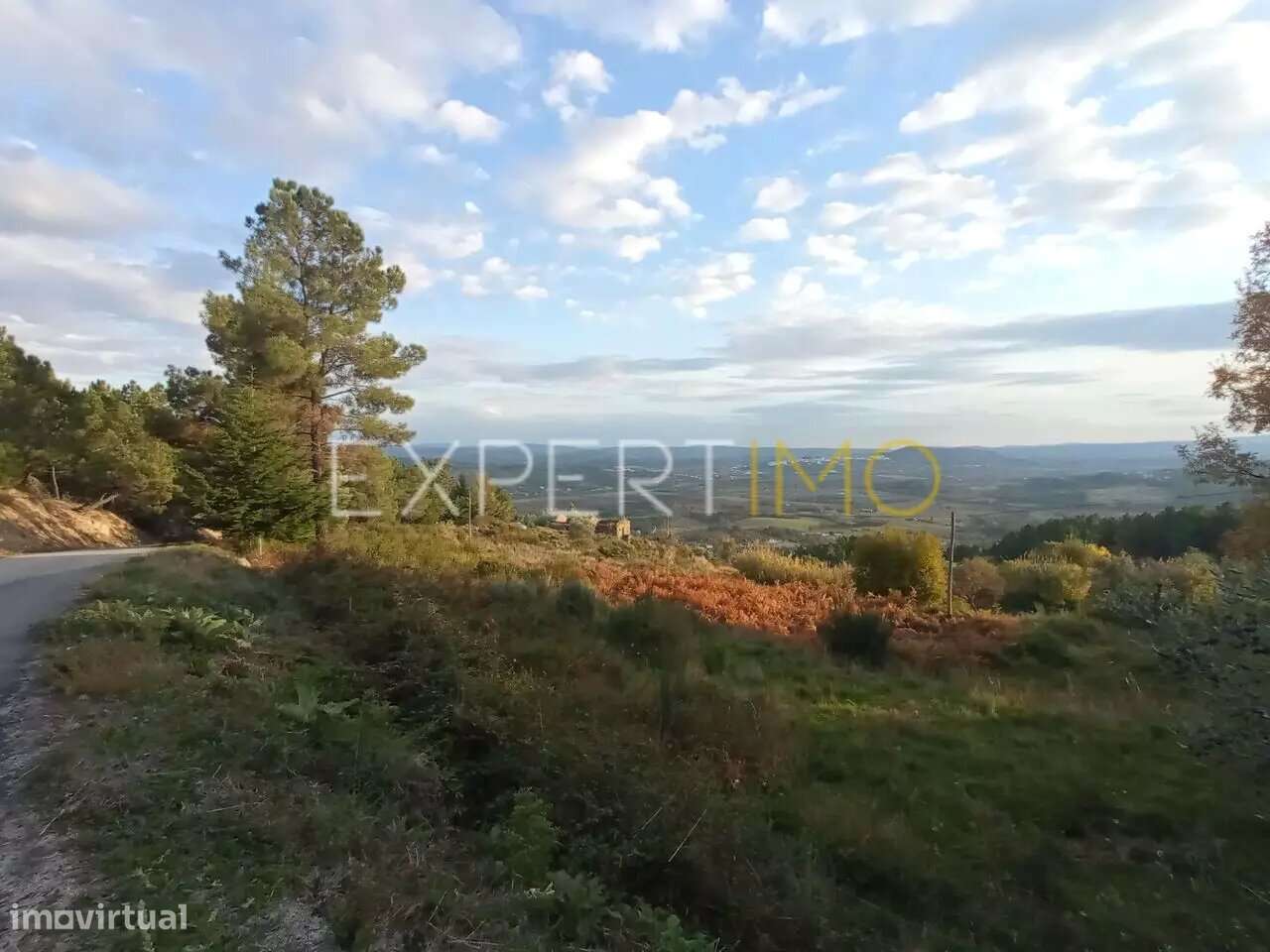 QUINTA EM SOCALCOS, paisagismo e local ideal para turismo - Guarda - Grande imagem: 4/25