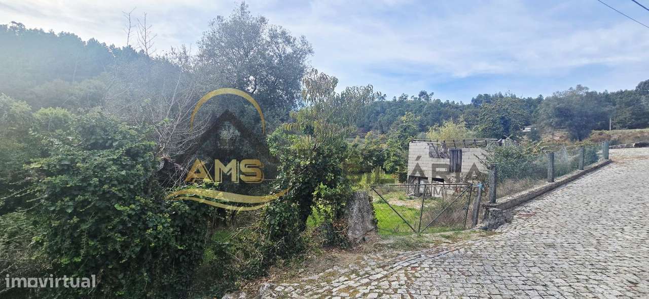 QUINTINHA PARA VENDA - Grande imagem: 5/21