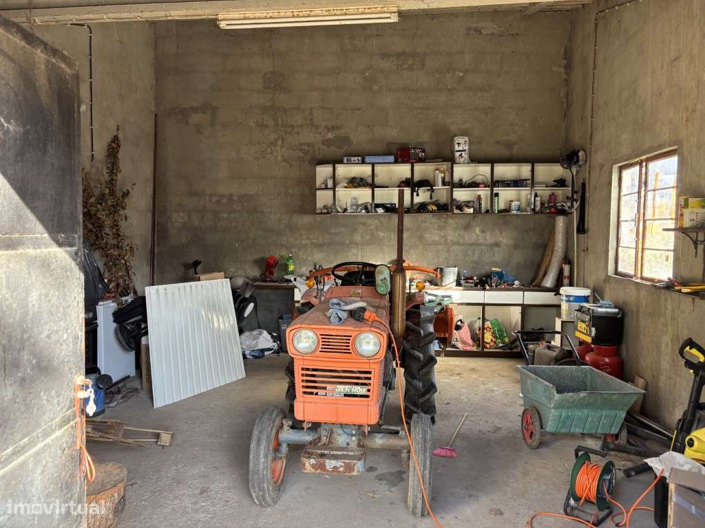 Vendese Quinta com Casa T4, Adega, Lagar e Terreno com Árvores de F...-35