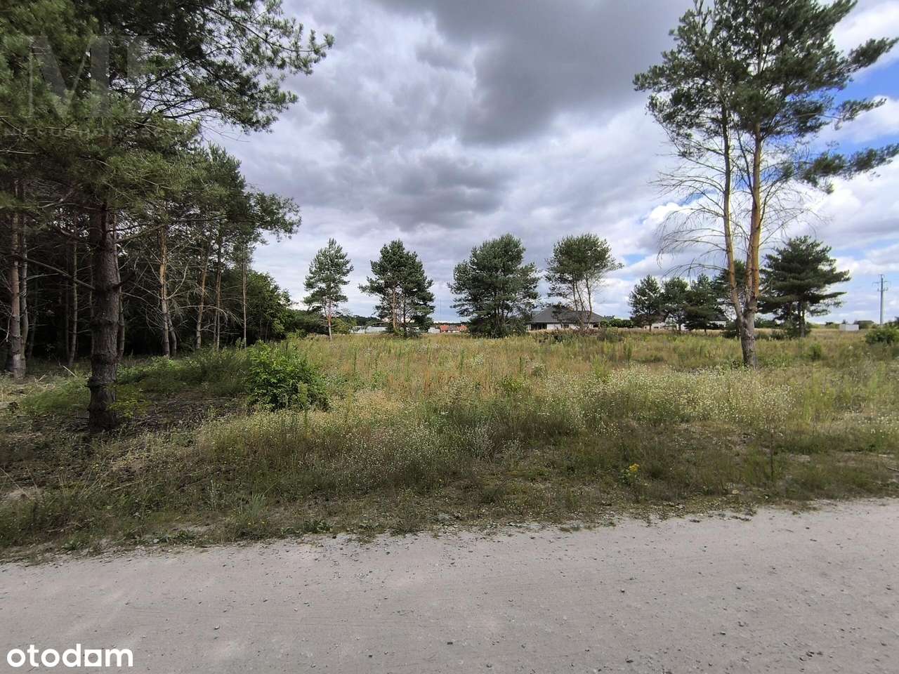 Działki budowlane gm. Ślesin - Pełny obrazek: 5/8