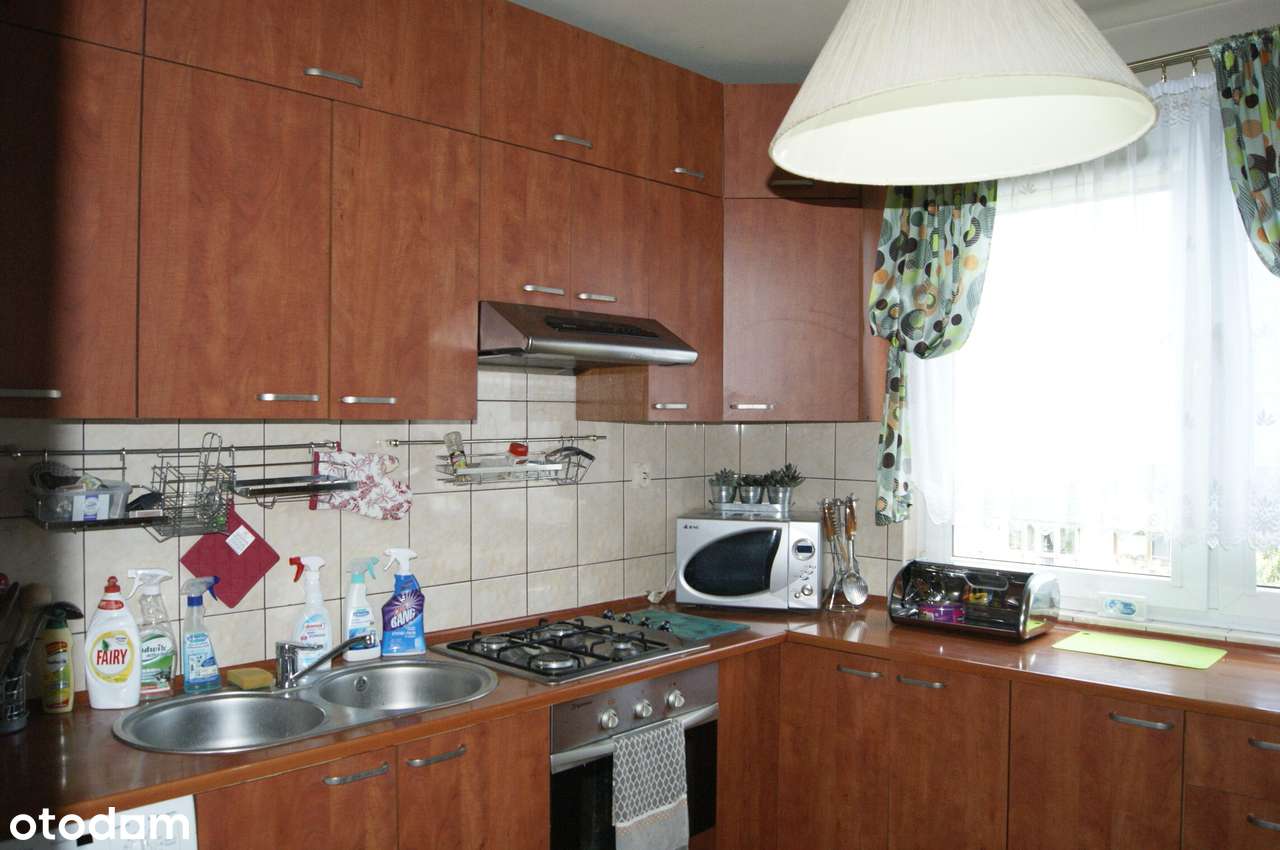 Zielony Olechów blisko planowanego Aquaparku-4