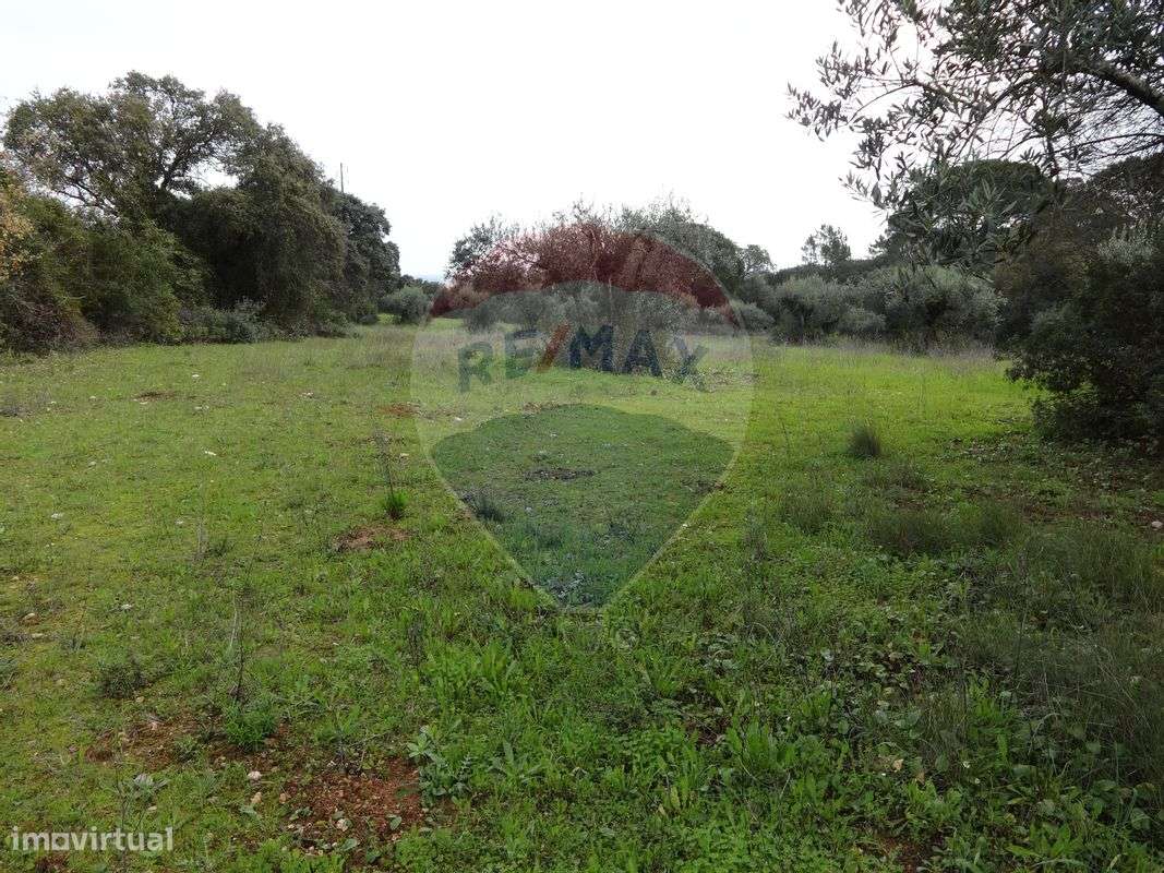 Terreno  para venda - Grande imagem: 2/15