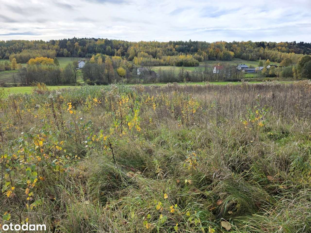 Piękne widoki, cisza i spokój – działka 23 ary w Ołpinach-15