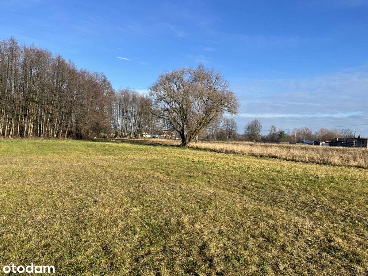 4 działki na sprzedaż Wymysłów Piaski - Pełny obrazek: 4/4