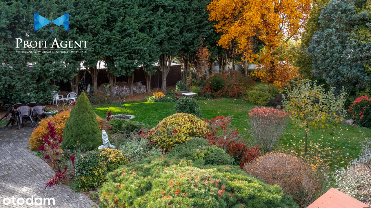 Przestrzeń do życia i oddechu – dom z garażem i zieloną działką - Pełny obrazek: 4/20