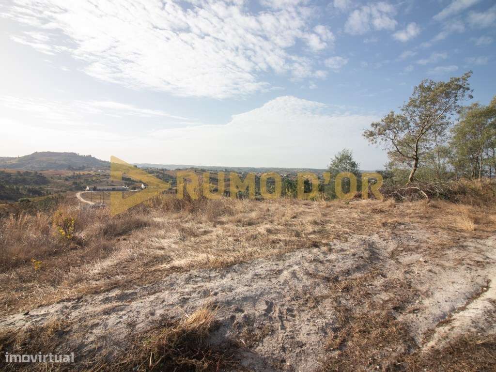 Moinho em Surraipas, Pocariça-3