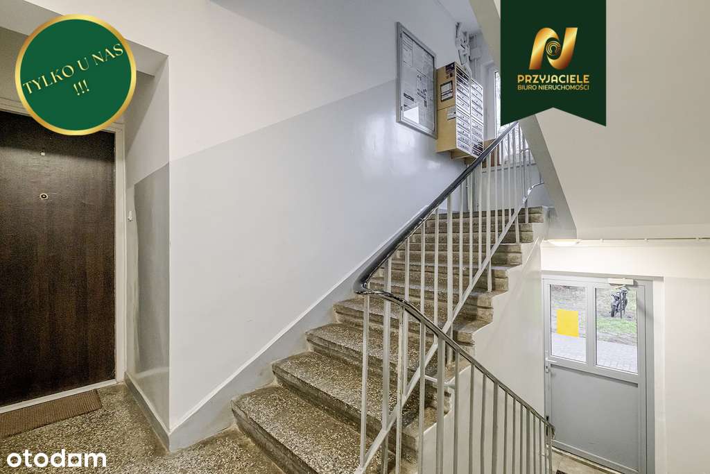 Gdańsk Przymorze 2 pokoje, student, obcokrajowiec-11