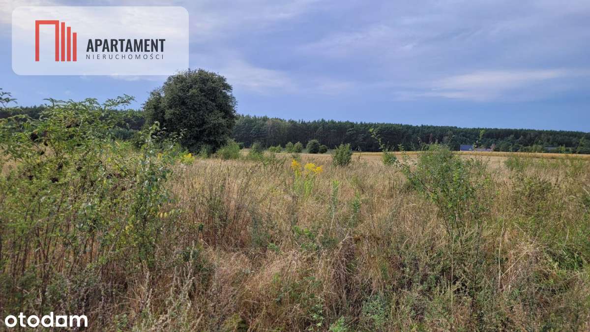 Tylko u nas! Świetna lokalizacja, cisza! - Pełny obrazek: 5/5