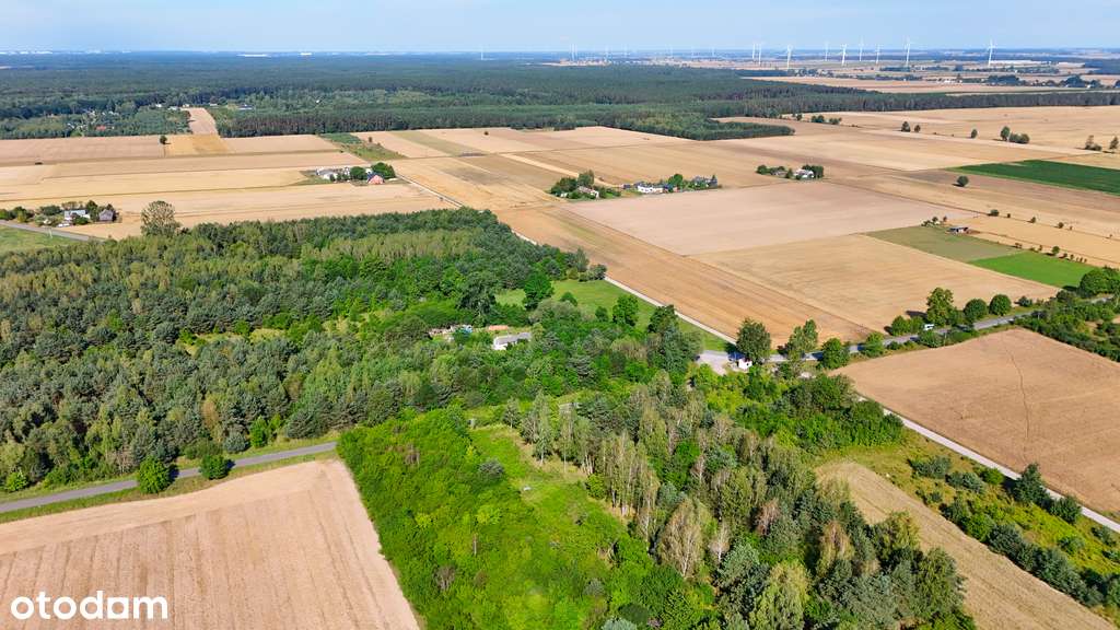 Działka na sprzedaż w miejscowości Golesze-Parcela - Pełny obrazek: 3/4