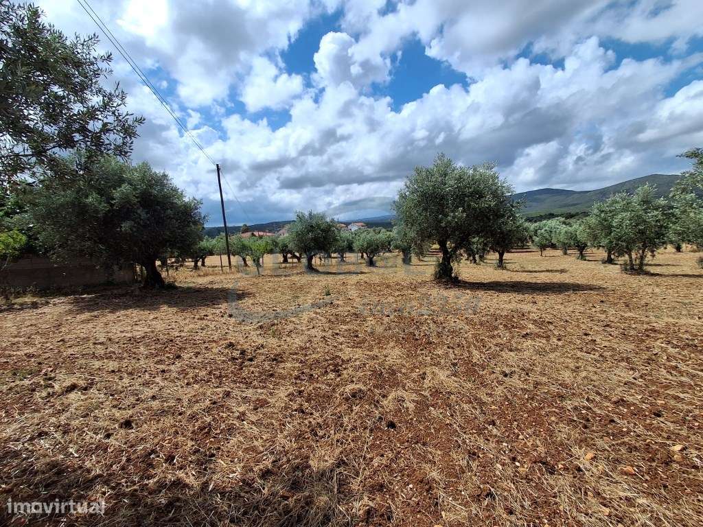 Terreno Exclusivo com Vista Serra | 4.040 m² | 1.850 m² Urbanos | C...-6