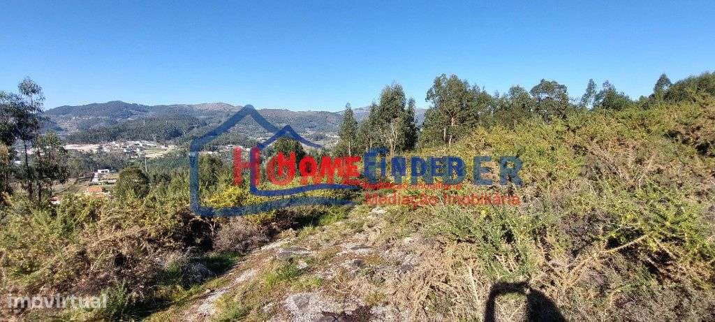 Bouça com 15.000 m² - Póvoa de Lanhoso - Grande imagem: 4/20