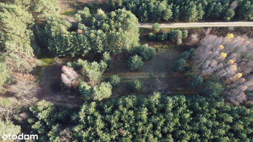 Na sprzedaż wyjątkowa nieruchomość – dwie działki - Pełny obrazek: 4/13