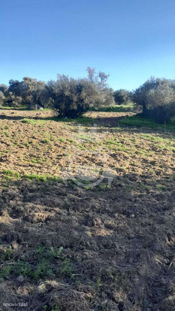 Terreno Rústico - Corval - Grande imagem: 2/4