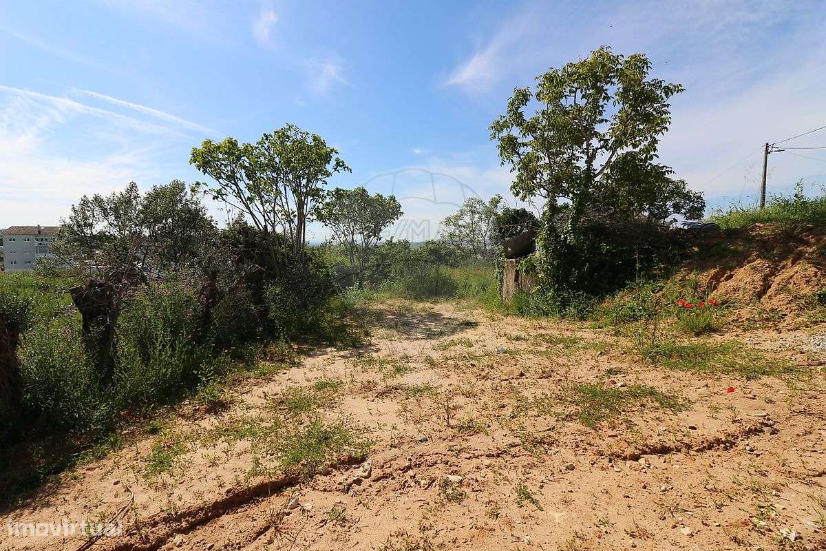 Terreno  para venda-16