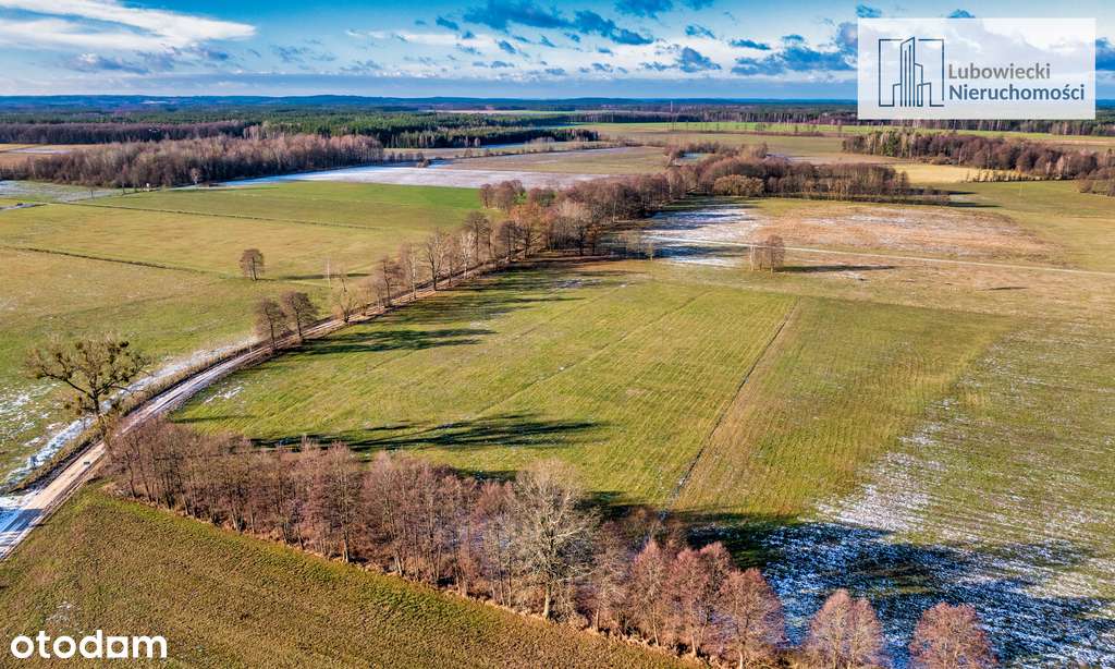 Kompleks działek w Wyżegach - Pełny obrazek: 5/14