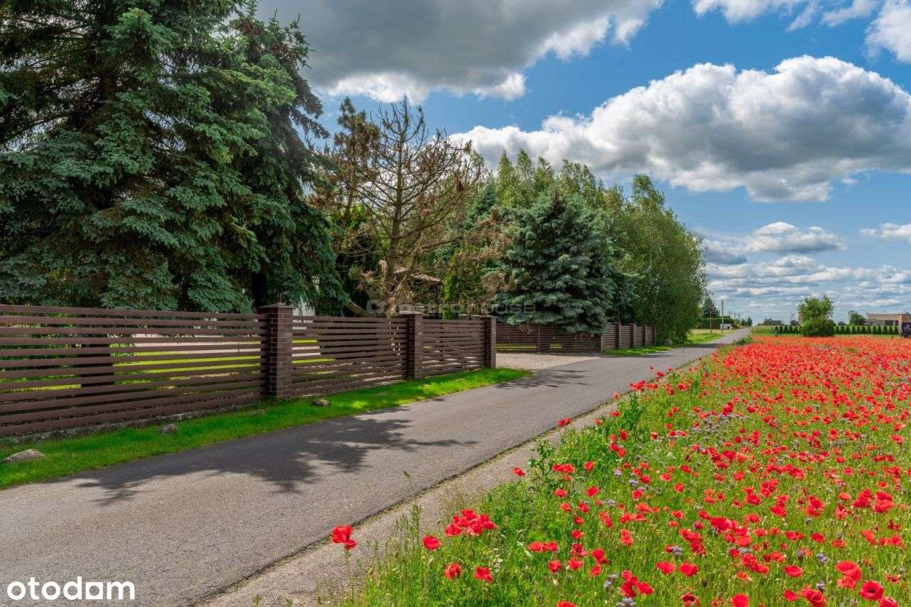 Dom z sauną, duży plac, budynki pod działalność-1