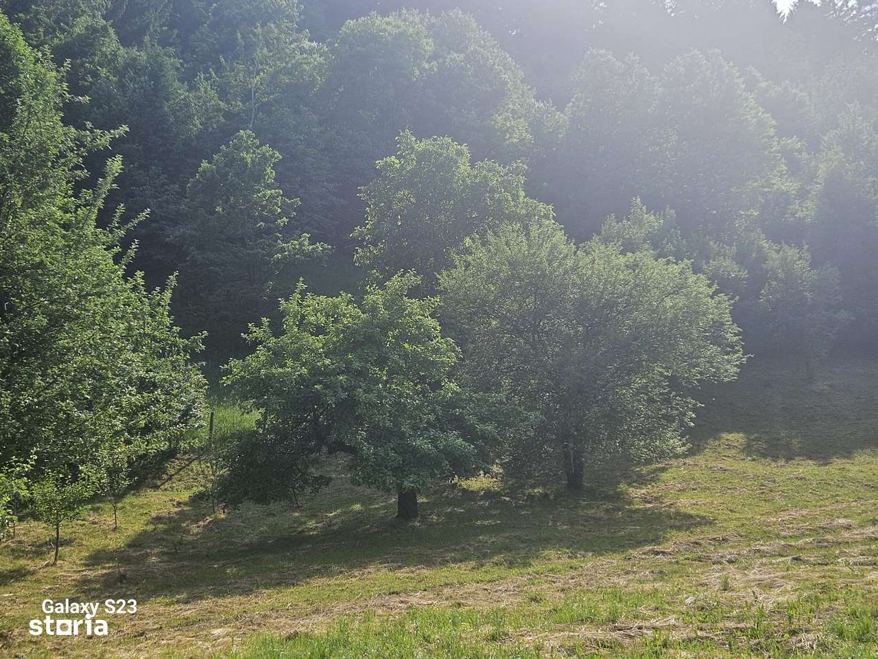 Teren de Vânzare – Vădurele | Ideal pentru Casa Ta de Vis! - Imagine principală: 5/9