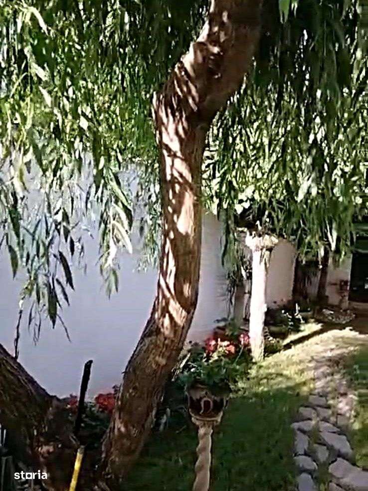 Vanzare casa renovata 2 camere curte intrare separata foisor Cotroceni-5