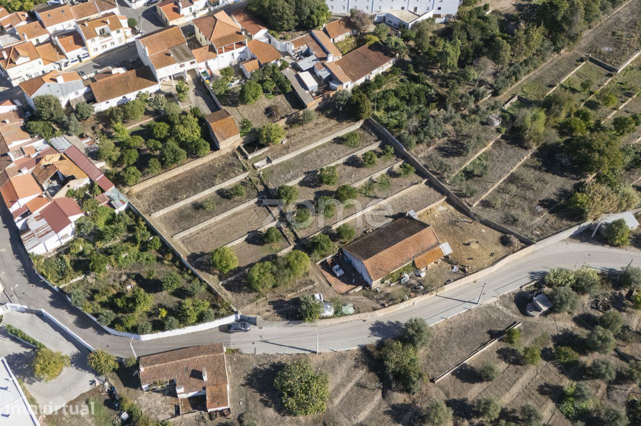 Lagar || Montalvo, Constância-26