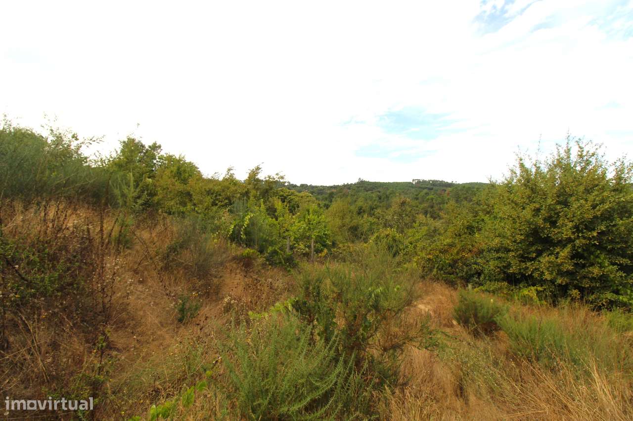Quinta com 8.000 m² a apenas 10 km do centro de Viseu-37