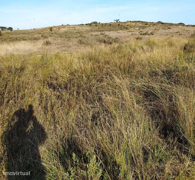 Terreno agrícola com 6ha. - Grande imagem: 5/7
