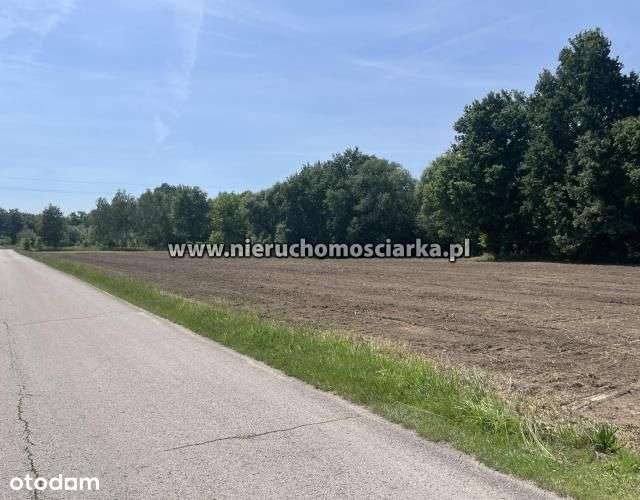 Działki budowlane Skrzyszów dostępne 2 ostatnie - Pełny obrazek: 5/11