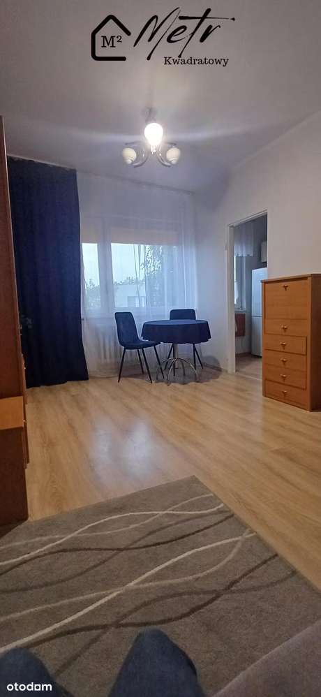 Kawalerka szuka kawalera - Pełny obrazek: 5/7