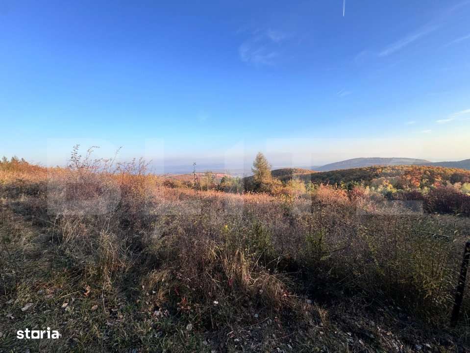 Teren de vanzare - Imagine principală: 3/3