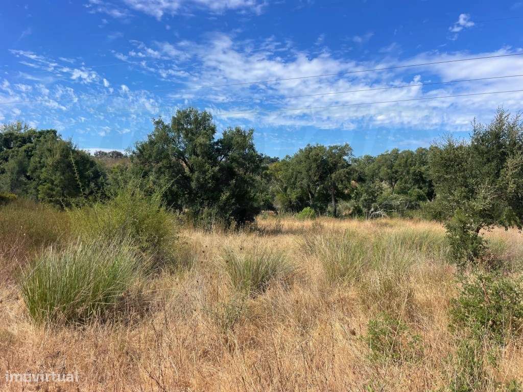 HERDADE COM 100 HECTARES E BASTANTE ARBORIZAÇÃO-20