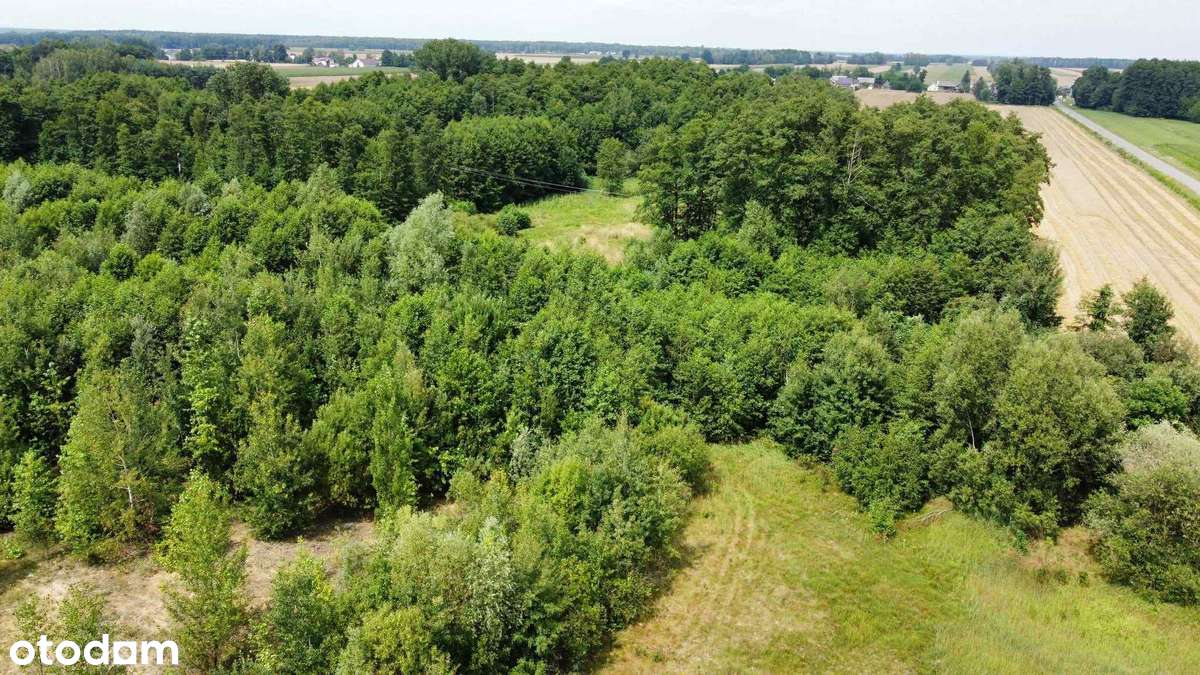 Teren inwestycyjny przy trasie S2 – idealny pod magazyny, hale, itp - Pełny obrazek: 5/8