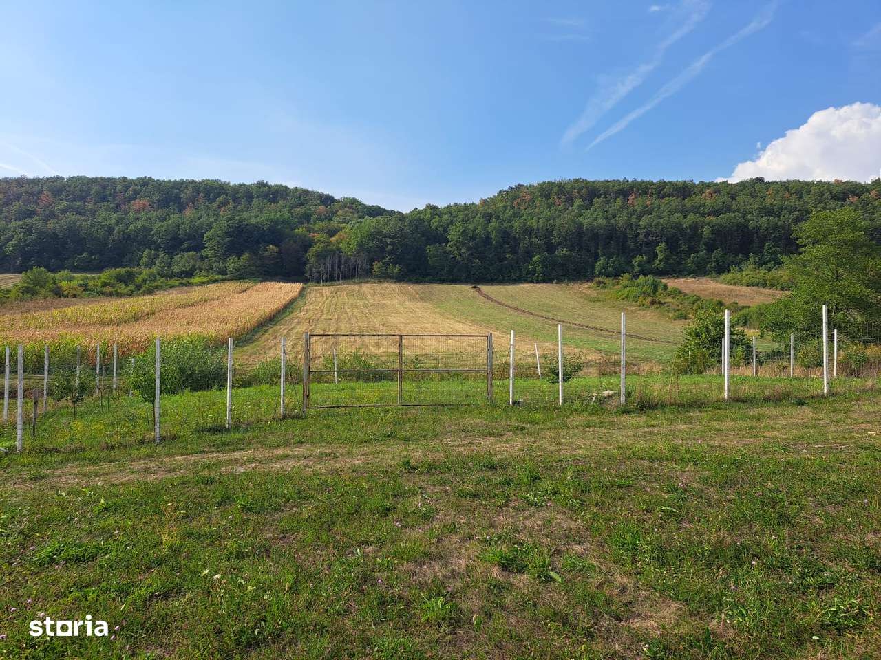 Teren extravilan in Hidiselu de Jos, se poate modifica in intravilan - Imagine principală: 5/9