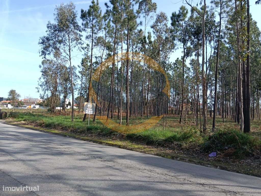 Terreno Santa Maria da Feira - Grande imagem: 3/9