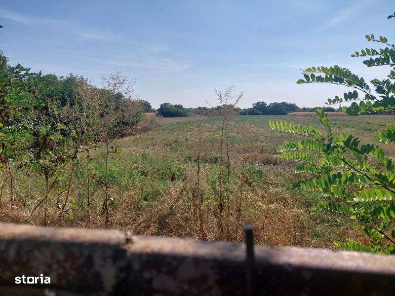 Teren Sannicolau Roman intravilan - Imagine principală: 4/6