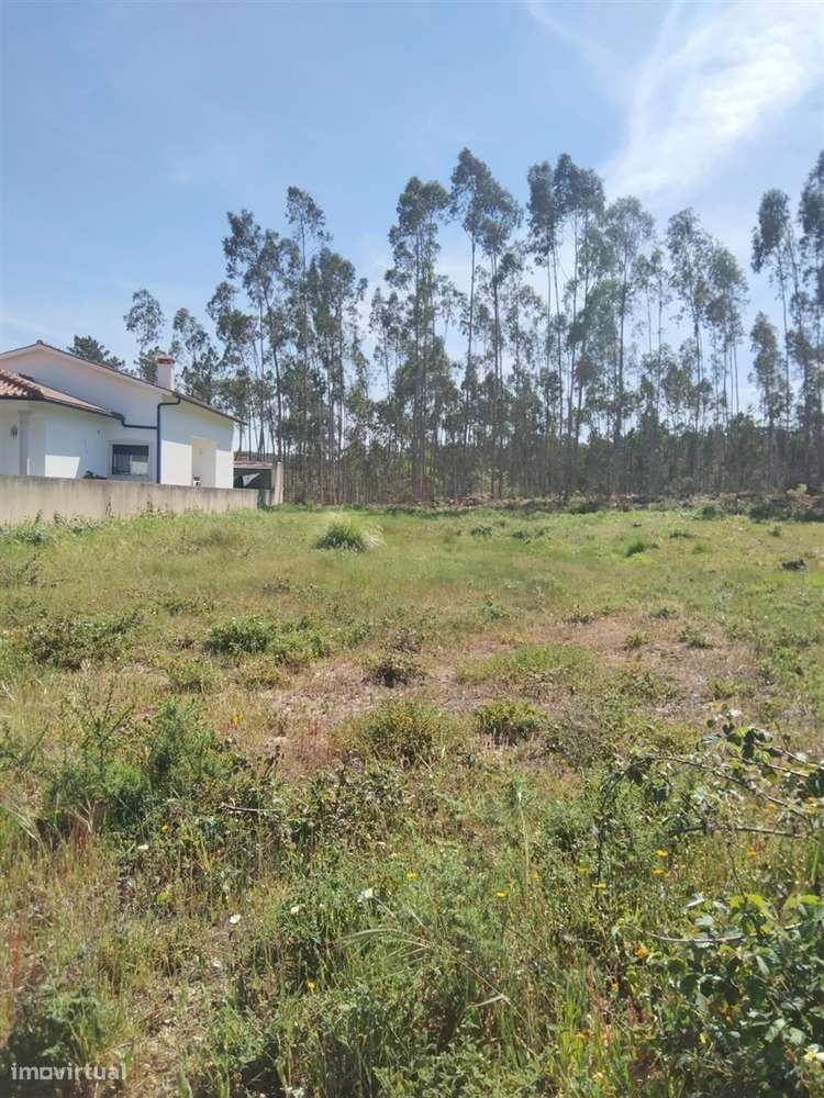 Terreno para construção / 722m2 / Barosa - Grande imagem: 4/14