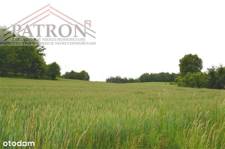 Działka budowlana w malowniczej wsi Włodzice Małe.-7