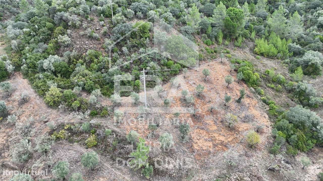 Terreno rústico de 20.200m² com acesso asfaltado e boas vistas - Grande imagem: 3/9