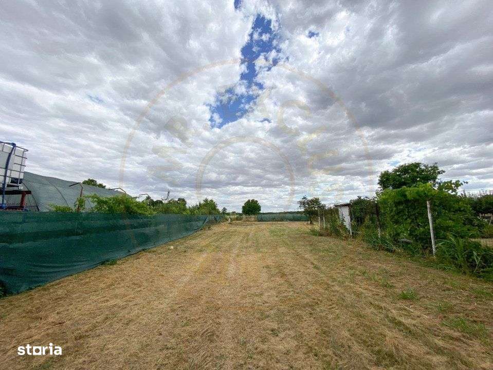 Teren intravilan 1412 mp, Ciofliceni – Ilfov - Imagine principală: 1/8