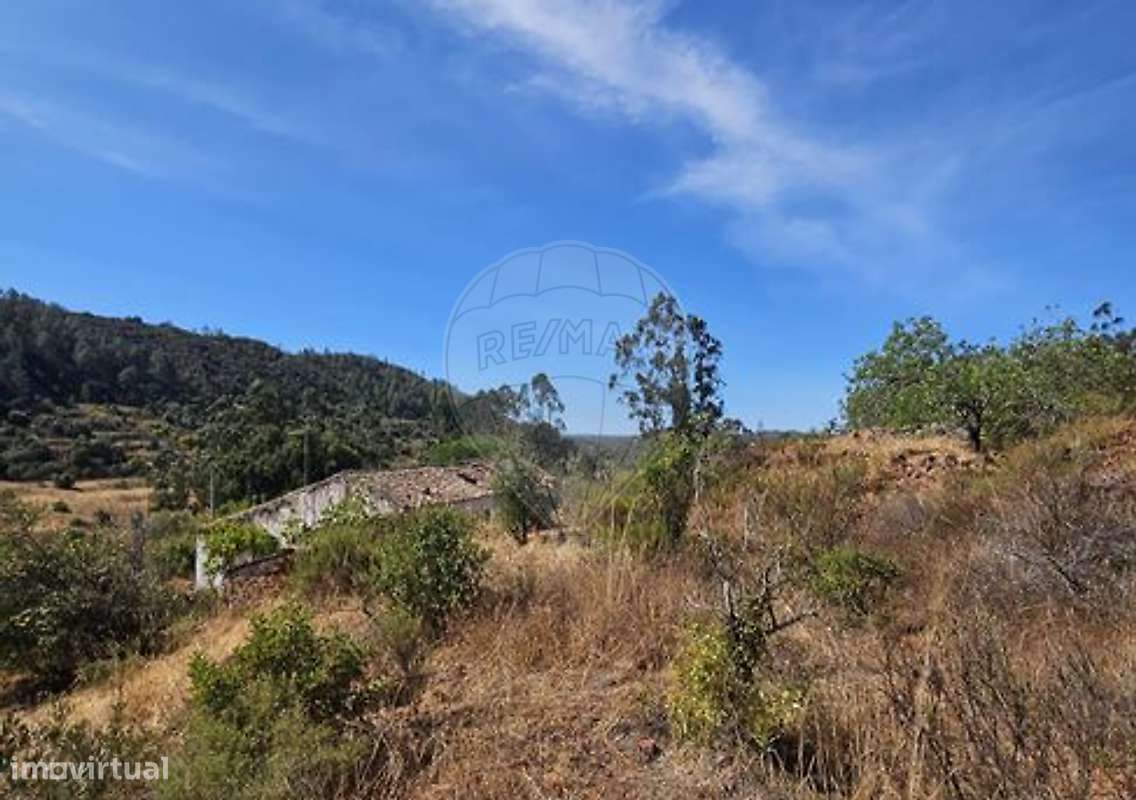 Quinta  para venda - Grande imagem: 2/19