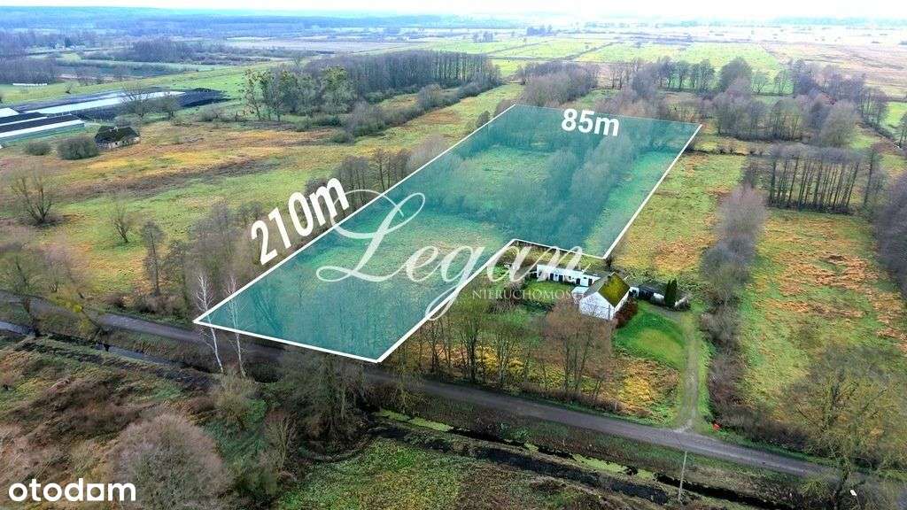 Duża Działka w Dobrej Cenie - 1,56 Ha - Pełny obrazek: 5/5