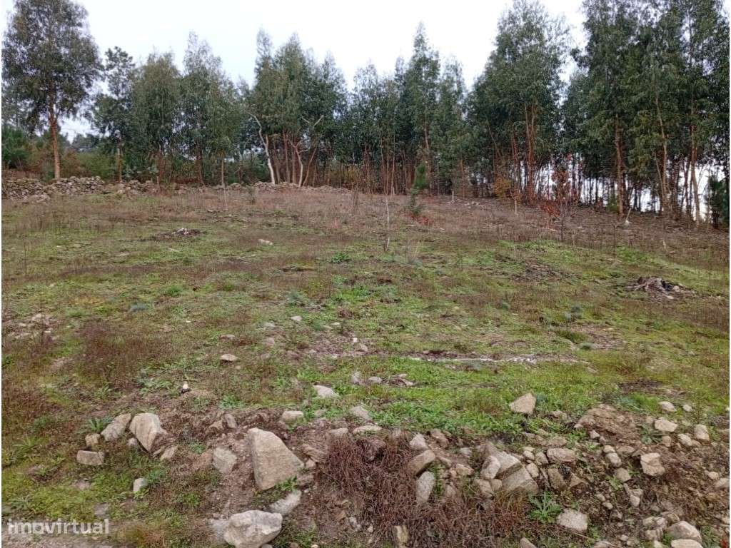 Terreno Urbanizável - Grande imagem: 5/18