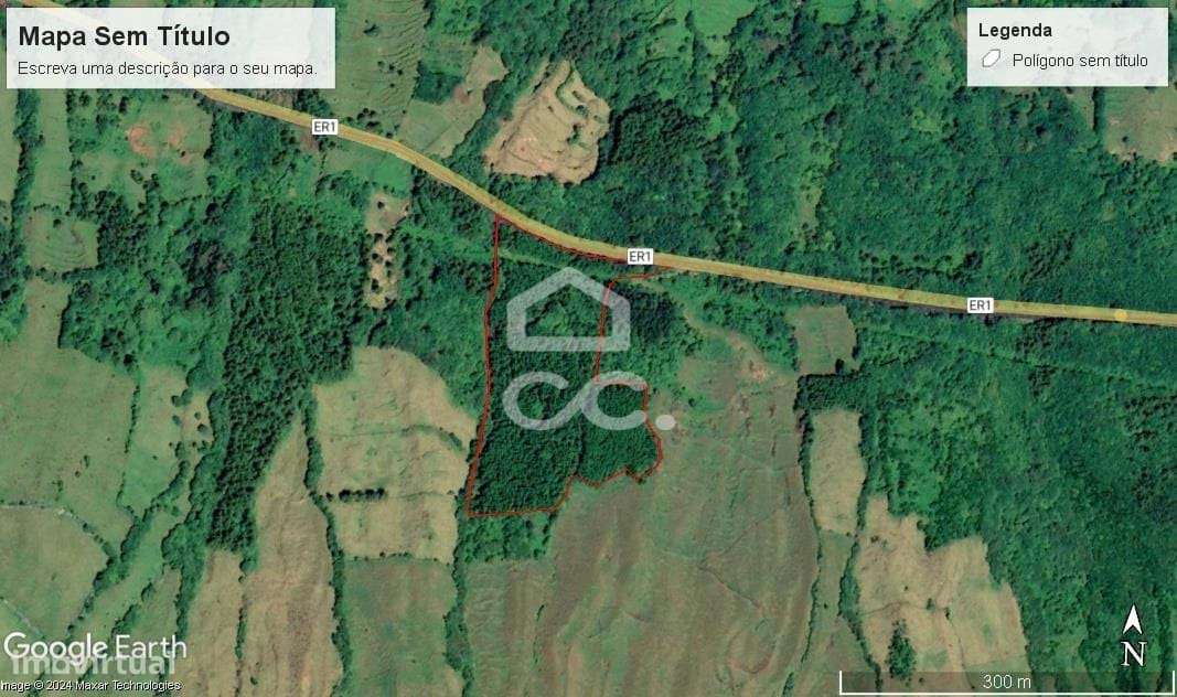 Terreno com 41.624,00 m2 - Santo Amaro - São Roque do Pico - Grande imagem: 5/10